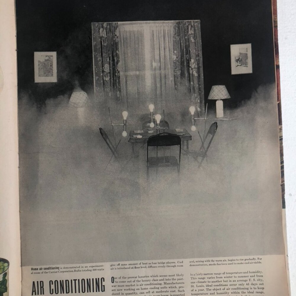 Life Magazine - Picture 6 of 16